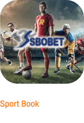 5 Sport Book FIFAGOAL